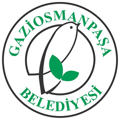 Mevlana Mah.3512 Ada 4 ve 8 Parsellere İlişkin 1/1000 Ölçekli Uygulama İmar Planı Değişikliği