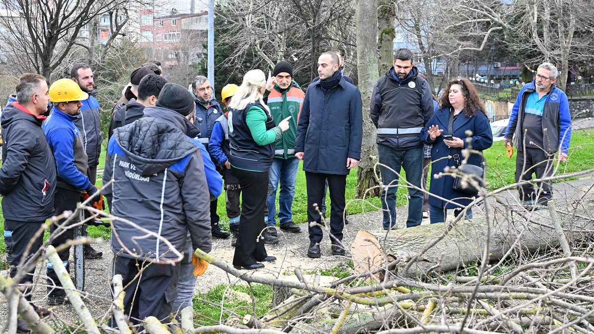 Teke Böceği İle Mücadele Kapsamında Yeşil Dönüşüm